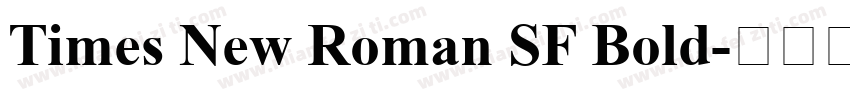 Times New Roman SF Bold字体转换